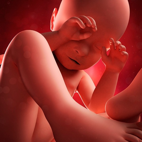 12 điều ảnh hưởng nghiêm trọng đến sức khỏe của thai nhi 1