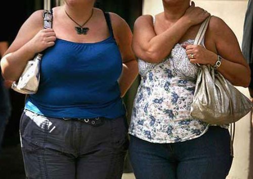 Phụ nữ béo phì và những nguy cơ gặp phải khi mang bầu 1