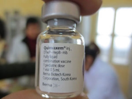 Cho phép tiêm lại vắc xin Quinvaxem từ tháng 10