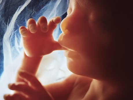 Hình ảnh sự phát triển của thai nhi qua từng tháng tuổi