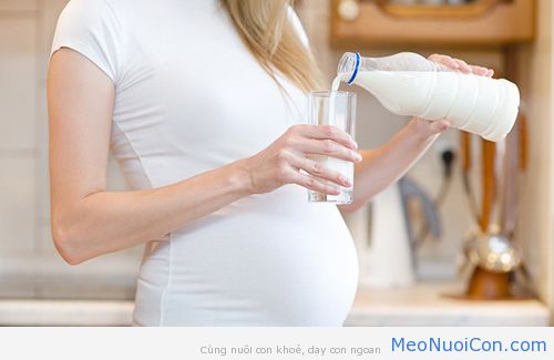 Ngoài sữa bầu, mẹ có thể uống những loại sữa gì? - 1