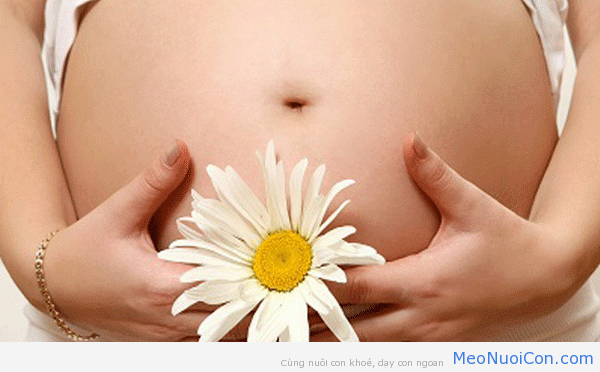 Đếm cử động thai – “tuyệt chiêu” đoán sức kh���e của bé yêu trong bụng mẹ