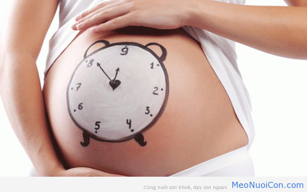 9 điều động mẹ bầu cần lưu ý về ngày dự sinh