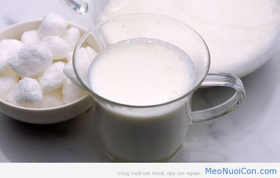 Cho con uống sữa kiểu này bảo sao không có chất dinh dưỡng lại hay đau bụng