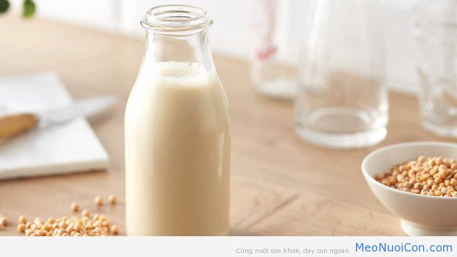 Nếu bạn băn khoăn cho con uống sữa bò hay sữa thực vật thì hãy đọc bài viết này