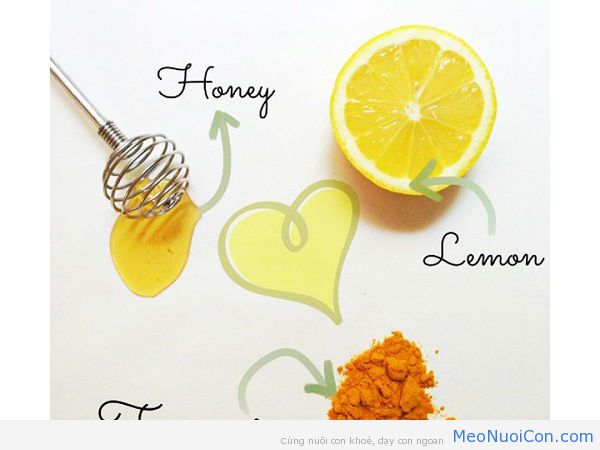Mặt nạ nghệ, mật ong và chanh trị mụn