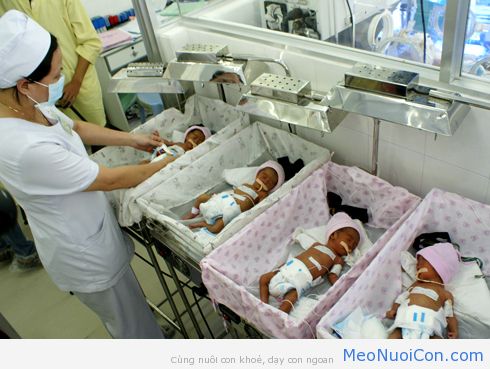 Việt Nam được khuyến cáo nên sinh nhiều hơn 2 con