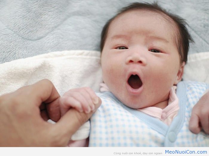 Sự phát triển của trẻ sơ sinh trong 12 tháng đầu đời khiến ai cũng kinh ngạc - Ảnh 1.