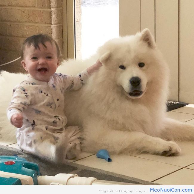 Gia đình nổi như cồn trên mạng xã hội với loạt ảnh chụp hai chị em và cả đàn chó cưng trắng như tuyết - Ảnh 17.