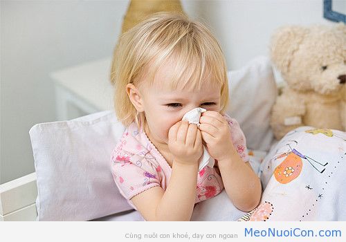 5 mẹo ‘vàng’ trị sổ mũi cho bé trong mùa đông nhất định mẹ phải biết