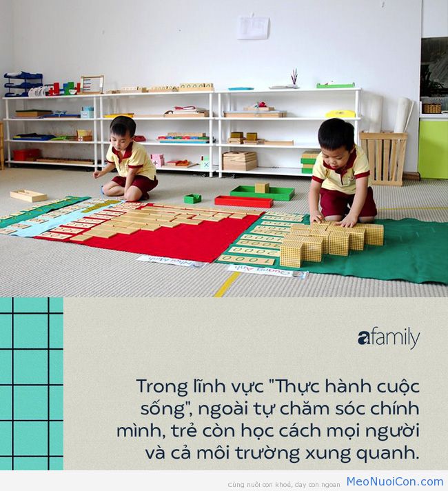 Tất tật ưu nhược điểm của phương pháp Montessori: Bố mẹ nắm rõ trước khi cho trẻ  theo học - Ảnh 5.