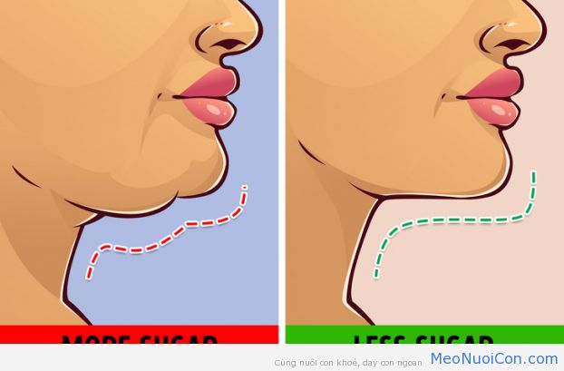 10 cách giảm mỡ mặt và loại bỏ hai cằm đơn giản không cần phẫu thuật 6