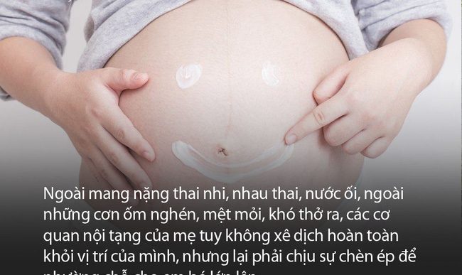 Kinh ngạc với sự “biến dạng” của các cơ quan nội tạng trong cơ thể người mẹ khi mang thai