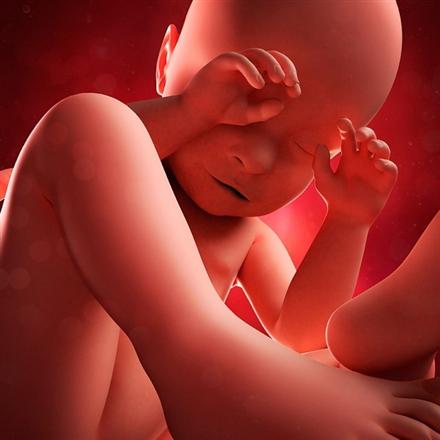 Tìm hiểu về giáo dưỡng thai nhi trong chăm sóc thai nhi