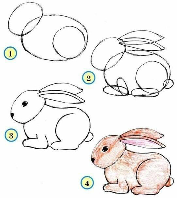 Hướng dẫn cách vẽ con thỏ đơn giản và dễ thương